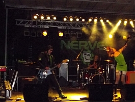 NERVES